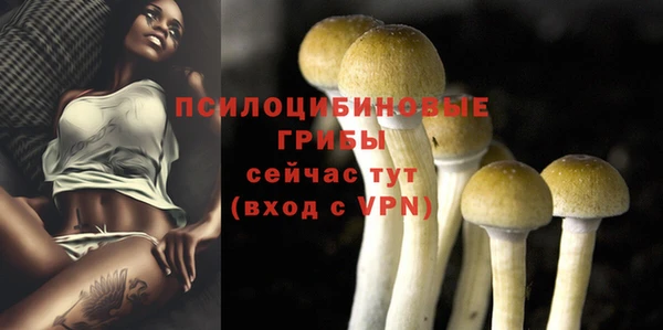 apvp Новозыбков