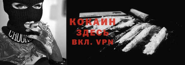 тгк Няндома