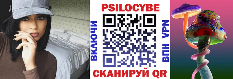 Псилоцибиновые грибы Cubensis  купить наркотик  гидра ТОР  Николаевск-на-Амуре 